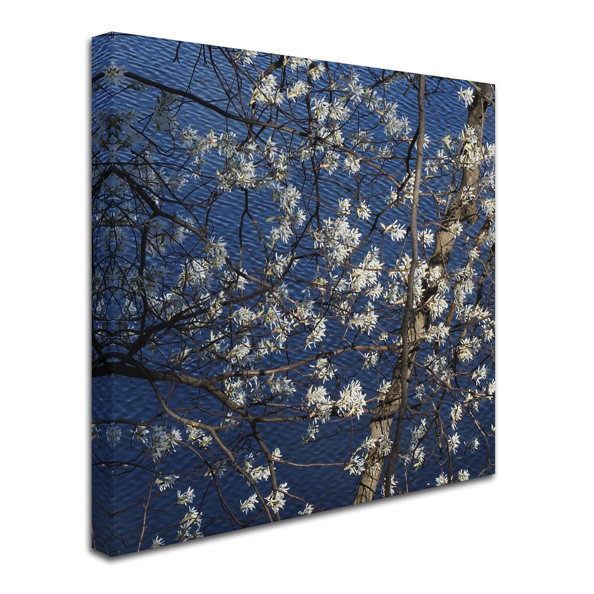 Trademark Fine Art "Springtime at the Lake" Canvas Art by Kurt Shaffer