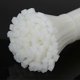 thumbnail image 2 of 200mm x 2.5mm Cable Tie, Cable Tie, 200mm Cable Ties, White, Pack of 100 Pieces, 2 of 3