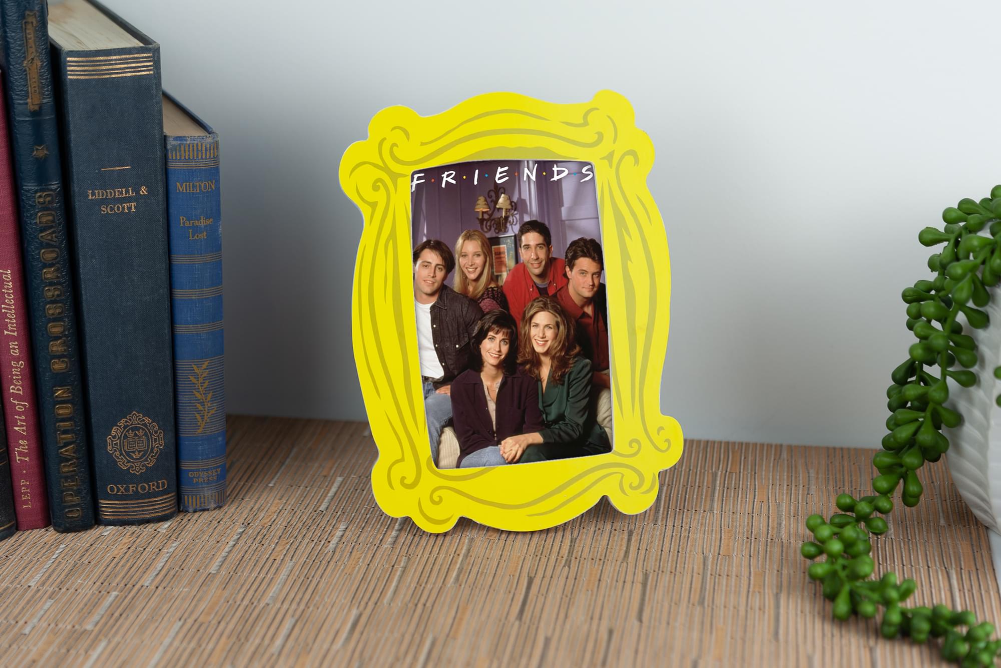 Friends Picture Frame | Friends TV Show Merchandise Photo Frame | 4 x 6 Inches - image 5 of 7