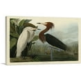 thumbnail image 1 of ARTCANVAS Purple Heron Canvas Art Print by John James Audubon - Size: 26" x 18" (0.75" Deep), 1 of 9