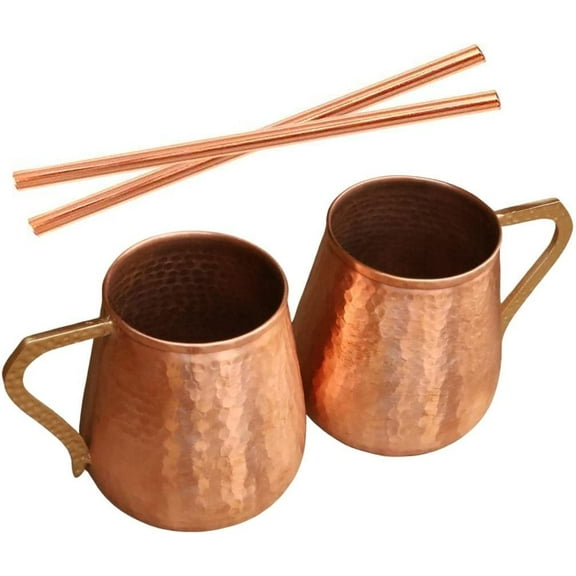Handmade Ayurveda Copper Moscow Mule Mug And Strow Set of 2 18 OZ Red Drinking Mug