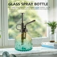 thumbnail image 3 of Botella Pulverizadora Plant Mister de Vidrio Vintage de 200 Ml, 3 of 6