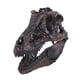 thumbnail image 1 of Tiranosaurio fósil resina Gloria decoración acuario Modelo 1/12, 1 of 7