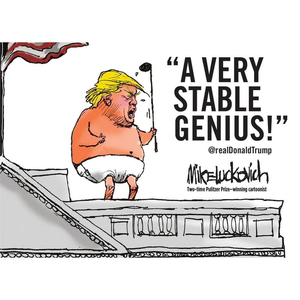 A Very Stable Genius (Paperback)