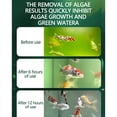 thumbnail image 4 of DEUUZHENQI Powerful Aquarium Water Purification Tablet, 2025 New Portable Aqua Water Purification Tablets, Water Purifying Tablets for Fish Tan, Remove All Kinds of Turbidity from Fish Tank Water, 4 of 6