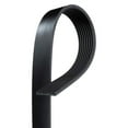 thumbnail image 3 of ACDelco 8K872 - Professional V-Ribbed Serpentine Belt, 3 of 4