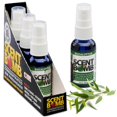 thumbnail image 1 of Spray ambientador Scent Bomb 30 ml Eucalipto Pack de 4, 1 of 6