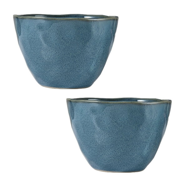 Qeeadeea Ceramic Ramen Bowls Set Of 2, Colorful Large Soup Bowls, Pasta Salad Bowls Large Serving Bowls Porcelain-blue-600ml