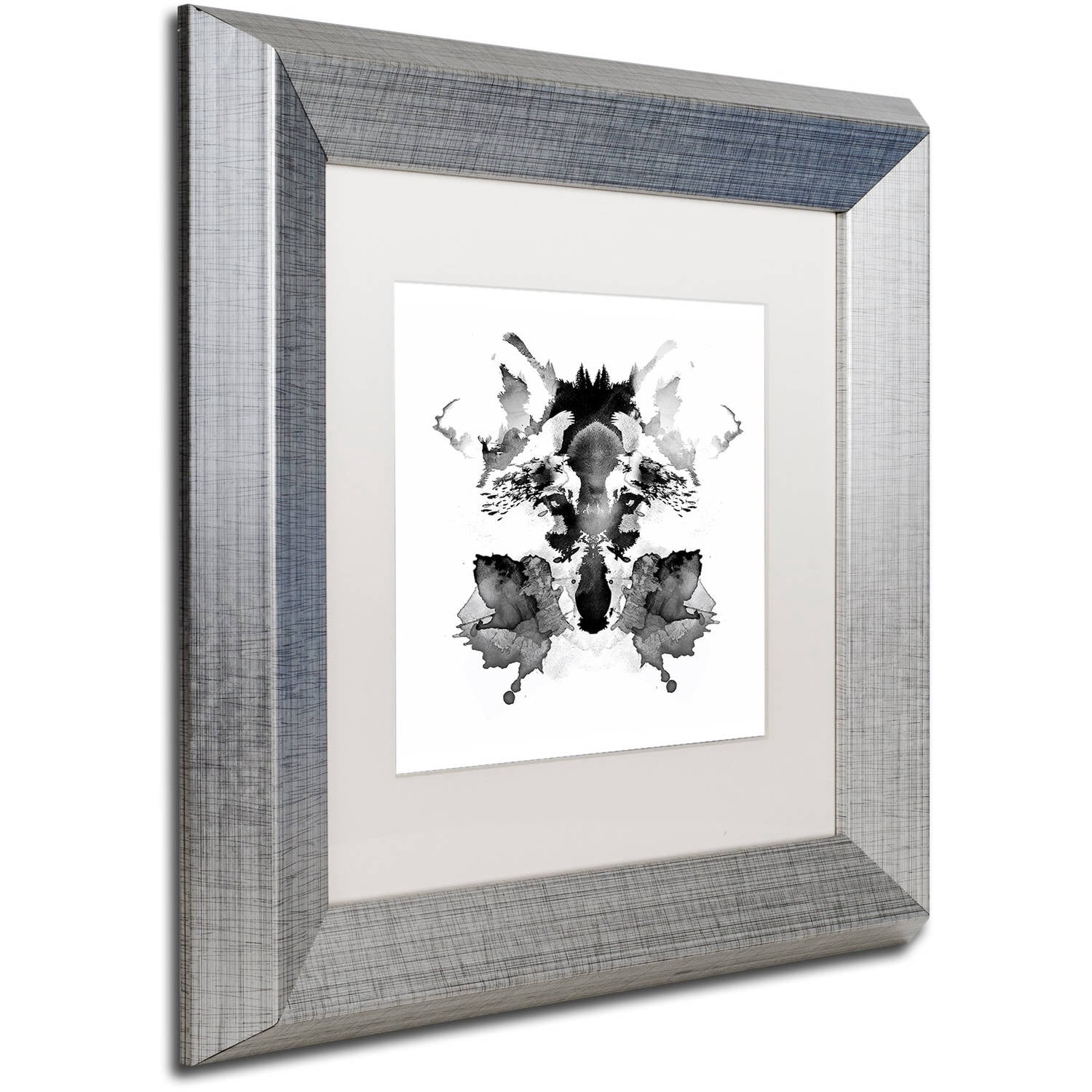 Trademark Fine Art 'Rorschach' Canvas Art by Robert Farkas, White Matte, Silver Frame