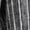 Black Stripes, variant on Women's Striped Linen Blend Pull On Crop Pant | Blue Stripes, Large