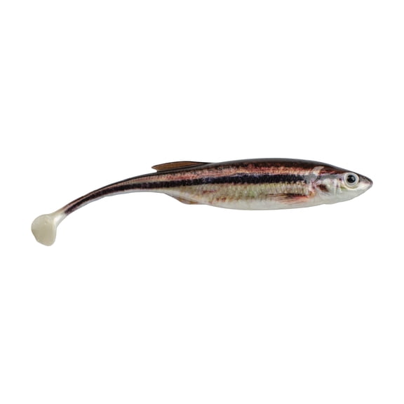 Berkley PowerBait Drip Swimmer 3in HD Blacknose Shiner
