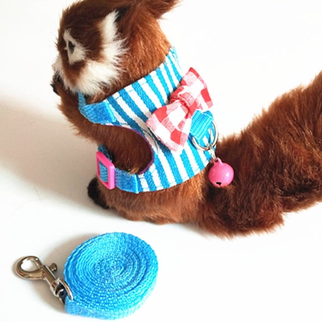 Neinkie Small Pet Guinea Pig Rabbit Harness and Leash Blue Stripe Chest Strap Vest for Animals Guinea Pig Chinchilla Rabbit Rat