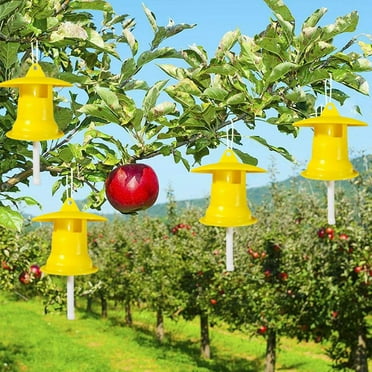 SHAPERME 5Pcs Reusable Fruit Fly Trap Killer Yellow Cage Drosophila Trap Fly Catcher NEW