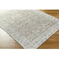 thumbnail image 4 of Mark&Day Washable Rugs, 9x12 Dian Traditional Khaki/Light Silver Area Rug, Grey Green Blue Carpet for Living Room, Bedroom or Kitchen (8'10" x 12', Machine Washable), 4 of 8