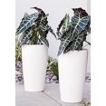 thumbnail image 1 of XBrand Nested Plastic Self Watering Indoor Outdoor Round Tall Planter Pot w/Glossy Finish, Set of 2, 17 Inch Tall, 1 of 8