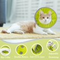 thumbnail image 2 of Soft Adjustable Cat Recovery Collar - Lightweight Elizabethan Cone for Kittens & Small Dogs - Alternative E-Collar - Post-Surgery Protective Cone - No Impediment - Socially Acceptable, 2 of 4