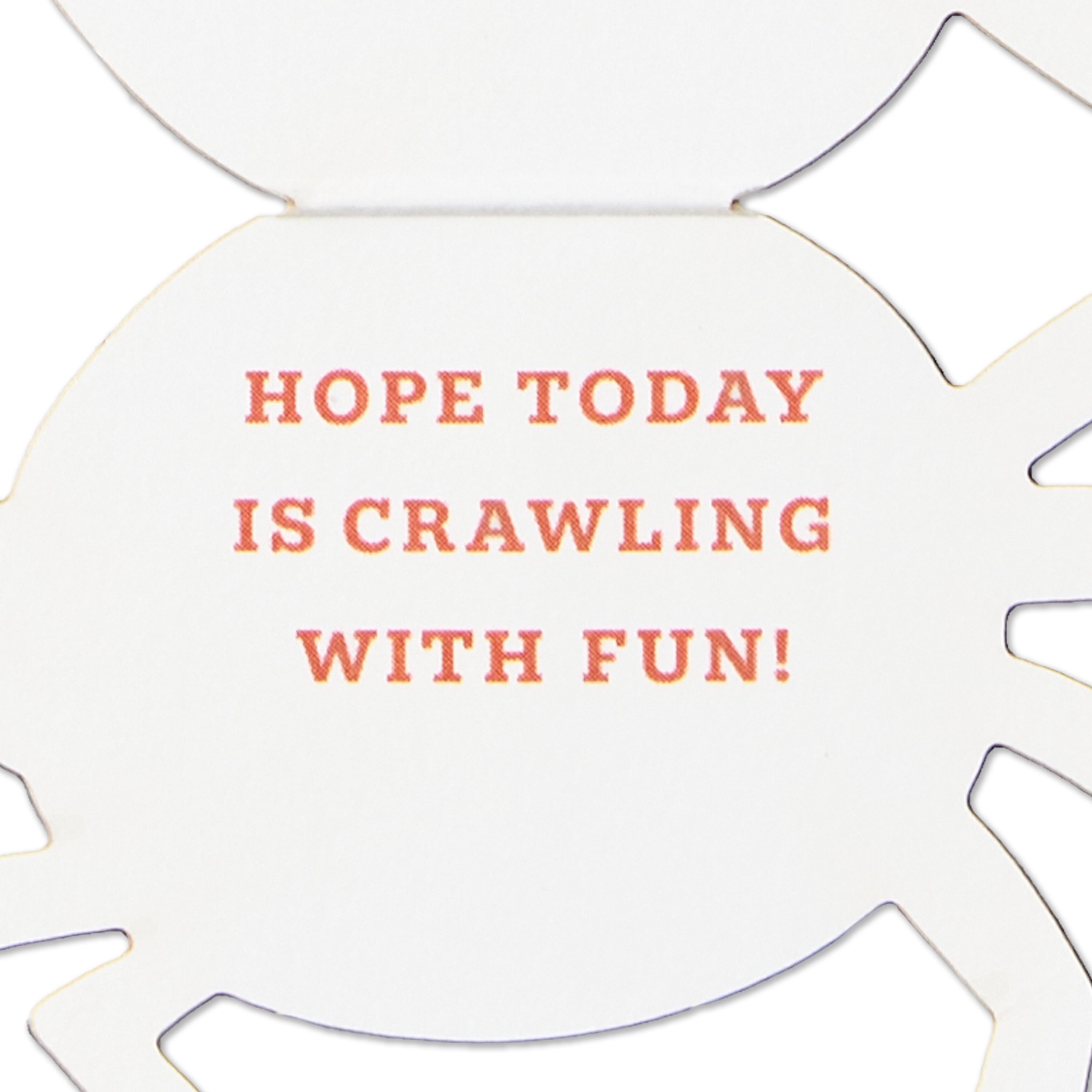 Hallmark Paper Craft Halloween Card With Mini Card (Spider in Web), 1 Count