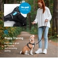 thumbnail image 3 of AnyPet Dog Harness, Extra Small No Pull Harness for Small Dogs, 3 of 7