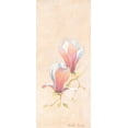 thumbnail image 2 of Boucher, Nathalie 10x18 White Modern Wood Framed Museum Art Print Titled - Magnolia 3-3, 2 of 4