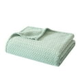 thumbnail image 3 of Mainstays Cozy Textured Plush Throw Blanket, Soft Sea, 50"x60" All Ages, 3 of 6