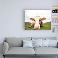 thumbnail image 3 of Trademark Fine Art 'Close Up I v2 no Cows Crop' Canvas Art by Aledanda, 3 of 3