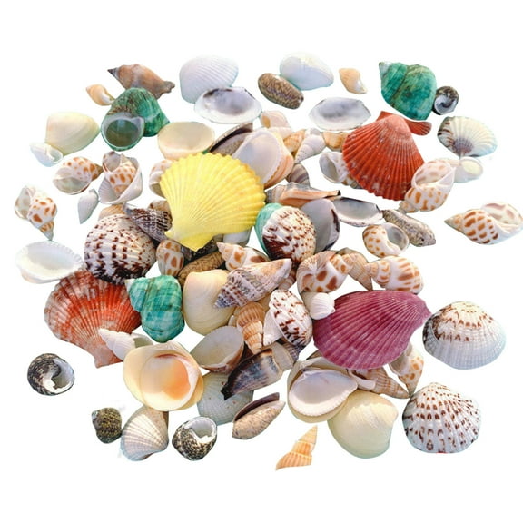 LMTODLFG 100g Tiny Sea Shells Mixed Ocean Beach Spiral Seashells for Fish Tank and Vase Filler, Beach Theme Party, Wedding Decor - DIY Craft Supplies