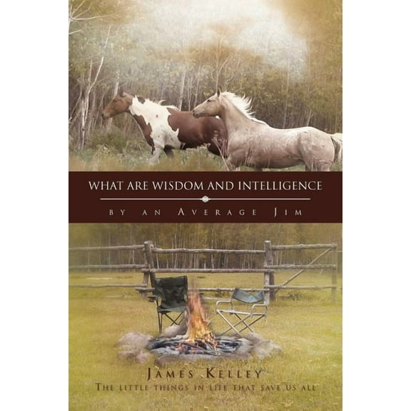 What Are Wisdom and Intelligence: by an Average Jim
