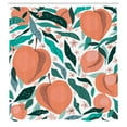 thumbnail image 3 of Ambesonne Peach Shower Curtain, Fruits and Abstract Leaves, 69"Wx75"L, Salmon Teal and Blush, 3 of 3