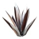 thumbnail image 2 of Xihbxyly Escultura de Planta de Tequila de Hierro, Diseño Único Artesanal, Estilo Agave con Detalles En Azul, Elegante Decoración para Jardín, Uso Interior y Exterior, 35 Cm de Altura, Arte Personali, 2 of 3