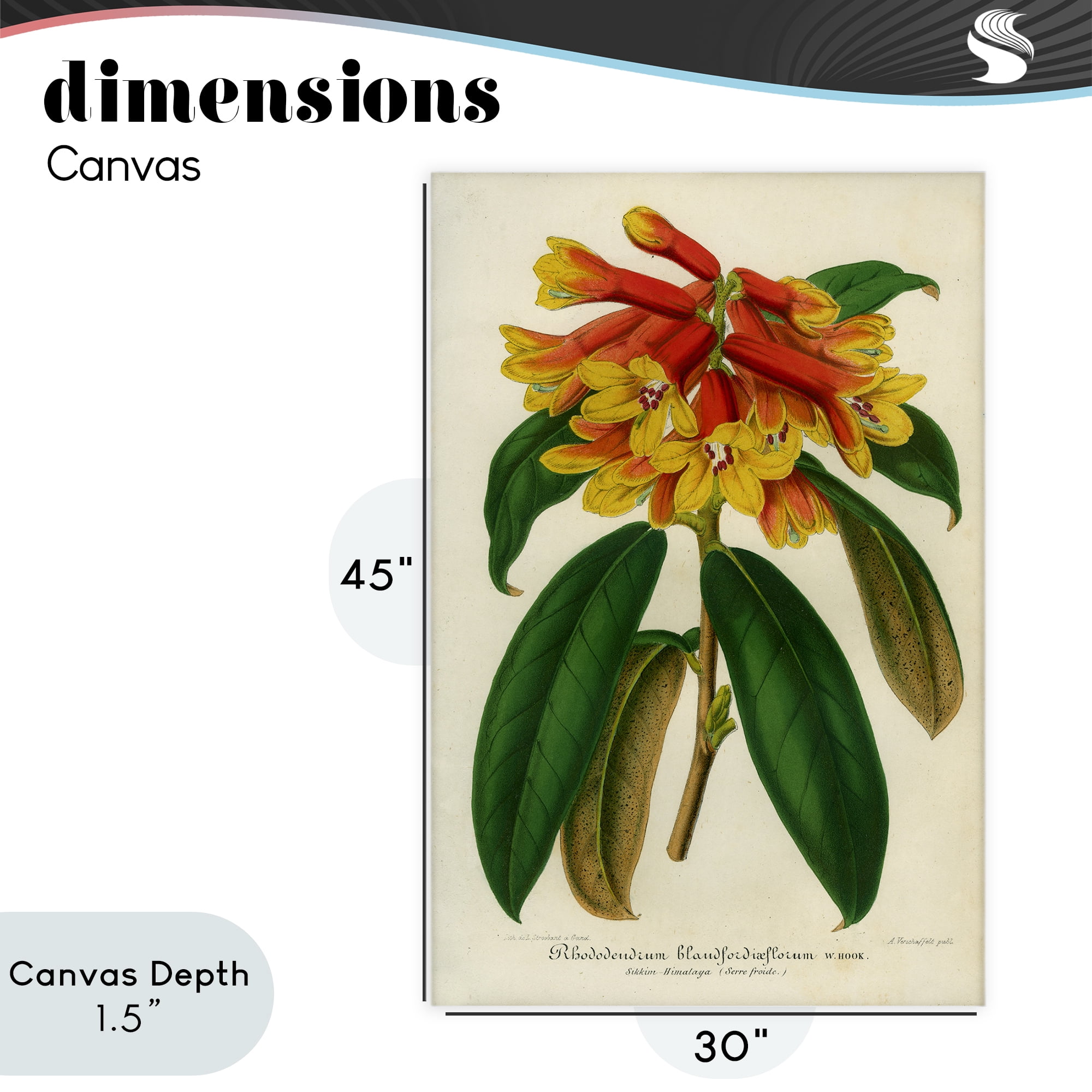 Stupell Industries Orange Yellow Rhododendron Canvas Wall Art, design by Print Collection