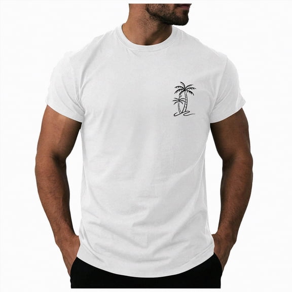 Leey-World Men's T Shirts Short Sleeve Casual V Neck T-Shirt Soft Notch Neck Tee Classic Plain Shirts T Shirts Men(White,M)