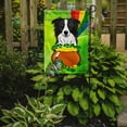 thumbnail image 2 of Caroline's Treasures BB1985GF Border Collie St. Patrick's Day Flag Garden Size , Small, multicolor, 2 of 3