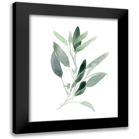 Scarvey, Emma 12x14 Black Modern Framed Museum Art Print Titled - Simple Sage III