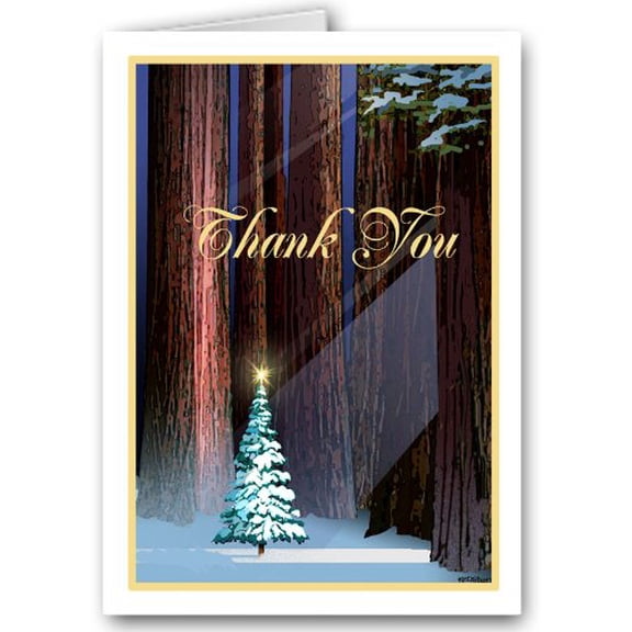 Tree in Forest Thank You Note Card - 10 Boxed Cards & Envelopes