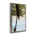 thumbnail image 3 of Stupell Industries Honduras Coast Palm Tree Brown Framed Floater Canvas Wall Art design by Natalie Carpentieri, 31 x 21, 3 of 9
