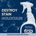 thumbnail image 2 of Limpiador de alfombras en aerosol Eco Strong Pet de 32 ml para manchas de mascotas, 2 of 9