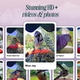 thumbnail image 3 of Bird Buddy Smart WiFi Bird Feeder with Camera, AI Bird Identification, Solar Powered Weatherproof, 2K HD Video, Includes Blue Perch Extender, 3 of 5