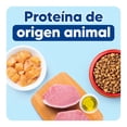 thumbnail image 4 of Croqueta Apawpacho Cachorro Razas Medianas Y Grandes 4kg, 4 of 6