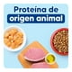 thumbnail image 4 of Alimento para Perro Apawpacho Cachorro Razas Medianas y Grandes 20kg, 4 of 9