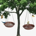 thumbnail image 5 of Hanging Bird Feeder & BirdBath for Outdoors, Wild Bird Feeders Tray, Hanging Birdbaths Trays for Outside, Cardinal, Blue Jay, Crow, Birdfeeders Outside (10", 1 Pcs with Hole & 1 Pcs No Hole), 5 of 7