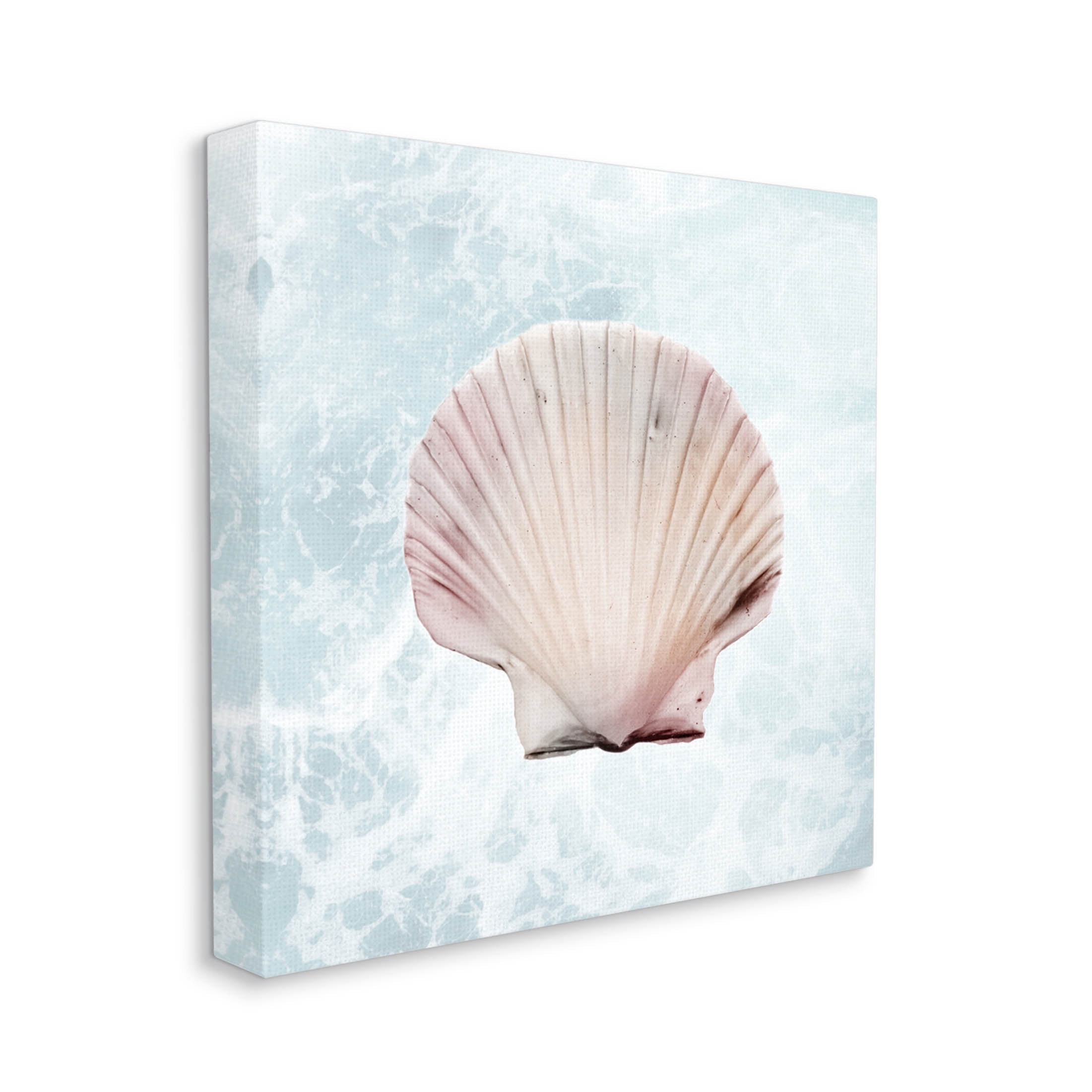 Stupell Industries Clam Shell Sea Water Graphic Art Gallery Wrapped Canvas Print Wall Art, Design by Marcus Prime