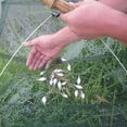 thumbnail image 4 of UDIYO Practical Fish Net Foldable Mesh Baits Trap Cast Crab Shrimp Cage Fishing Gadgets, 4 of 5