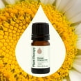 thumbnail image 4 of Plant Therapy Roman Chamomile Essential Oil 100% Pure, Undiluted, Natural Aromatherapy 5 mL (1/6 oz), 4 of 7