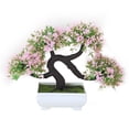 thumbnail image 1 of Planta Artificial Saludo De Invitados Pino Árbol Tradicional Bonsái Chino Pino Árboles Decoración Del Hogar De Escritorio 1 Uds Yuarrent HA043826-03, 1 of 5
