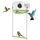 thumbnail image 1 of Ruifaya Comedero para colibríes con cámara, cámara para comedero para colibríes con versión nocturna HD 1080P, cámara para observación de aves con WiFi, comedero inteligente para colibríes para jard, 1 of 7