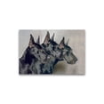 thumbnail image 1 of Generations Of Great Dane Dogs Poster -Image by Shutterstock, 1 of 2