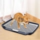 thumbnail image 1 of Inodoro para perros Salvador bandeja entrenamiento malla orinal, 1 of 10