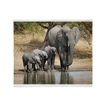 CafePress - Elephant Mom And Babies Throw Blanket - Soft Fleece Throw Blanket, 50"x60" for All Ages