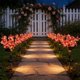 thumbnail image 5 of CaiYueKe Solar Powered LED String Lights Outdoor Garden Lights Waterproof Flower Lawn Lights for Patio Yard Pathway Walkway Landscape Decor Party Festival Decorations, 5 of 7