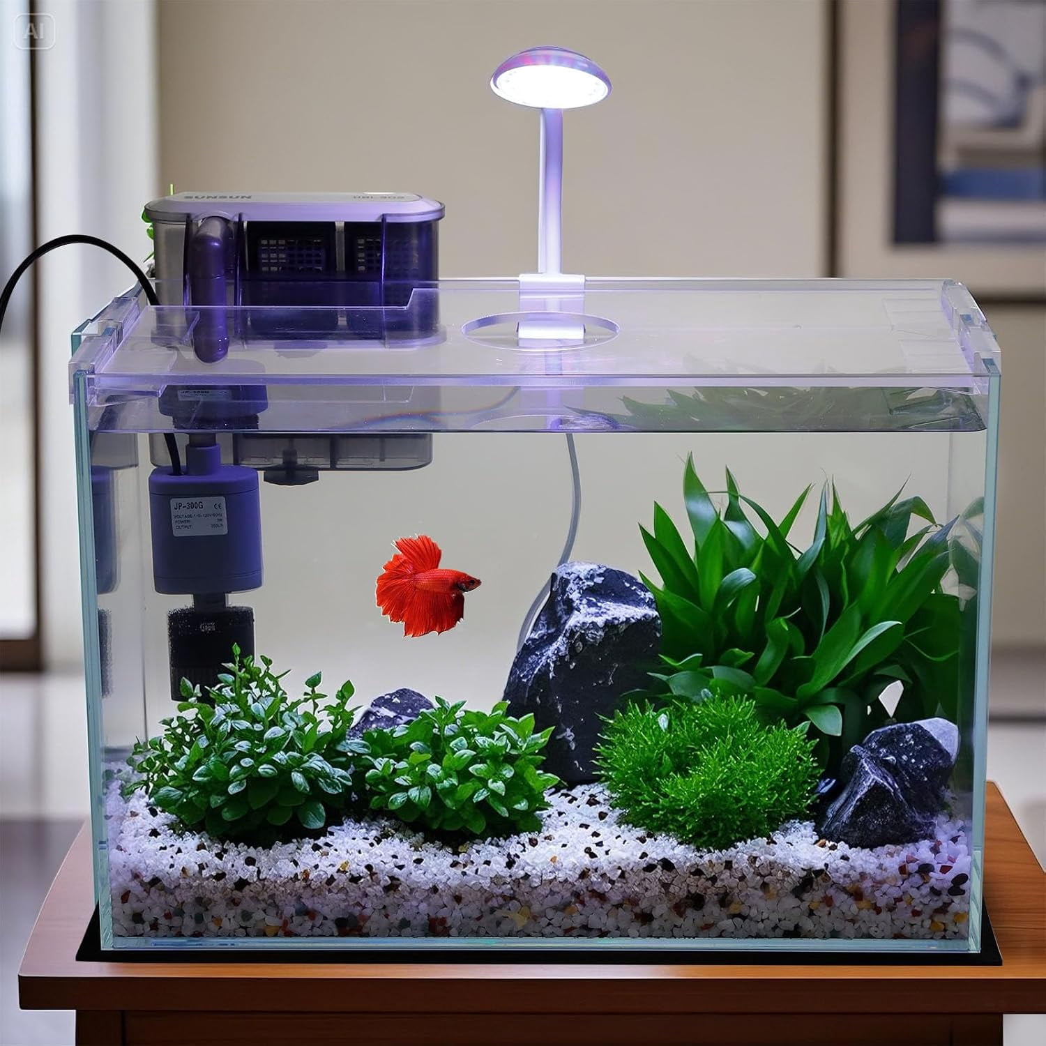 3 Gallon Glass Fish Tank with Filter Light and Lid, Aquarium Starter Kit